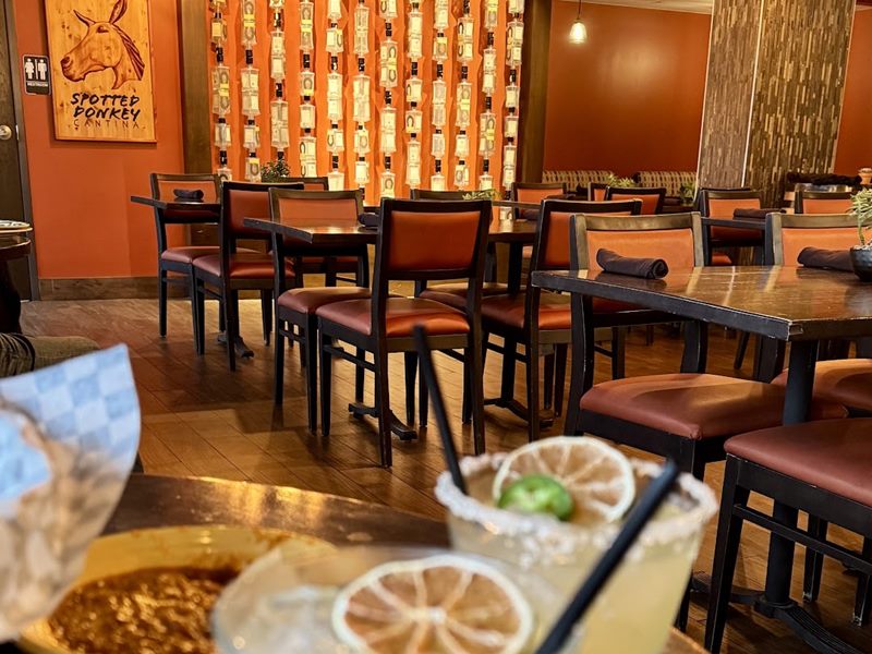 The Spotted Donkey Cantina interior